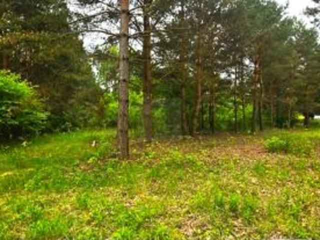 Kady, ul. Kaprys, 1500 m² Działka