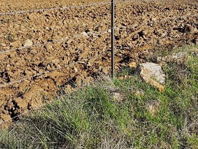 KADASTRO YOLUNA CEPHELİ %5 İMARLI 7000 M2 ZEYTİN BAHÇESİ