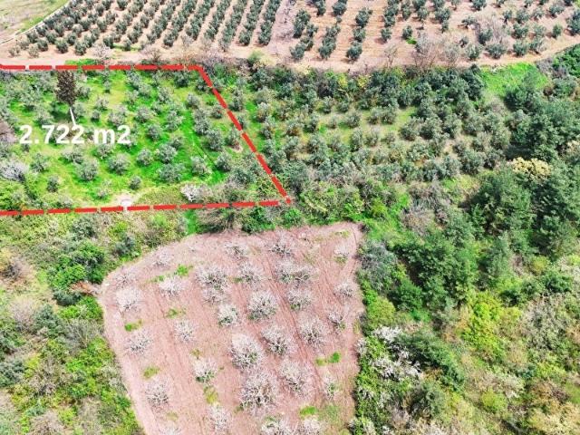 Kadastro Yoluna Cepheli, 2.722 m Satılık