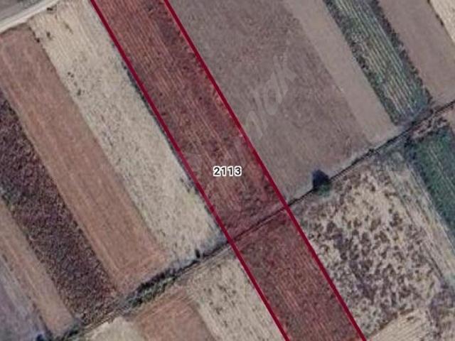Kadastro Yoluna Cepheli, TEK TAPU Satılık 4.800 m Verimli Tarla