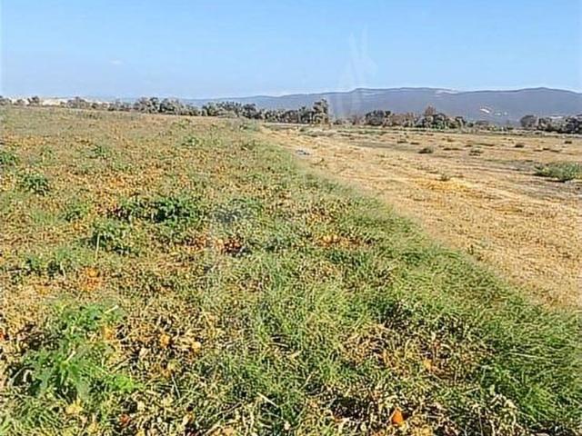KAFKAS EMLAK'TAN BÜYÜK M2 TARIM ARAZİSİ