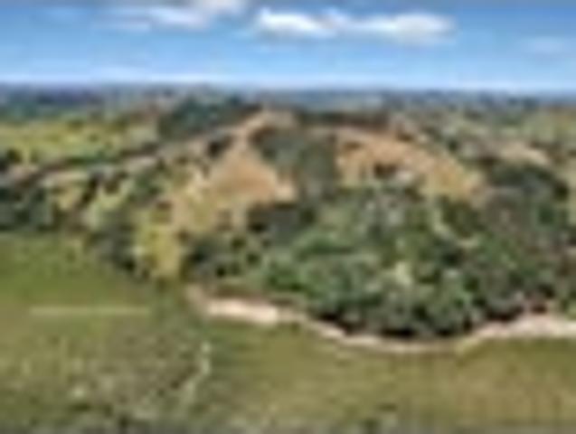 Kaipara gem peace, privacy and views
