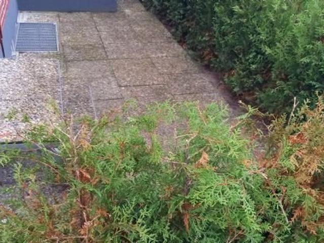 Kaltmiete zzgl. Nebenkosten, for rent at, Germany