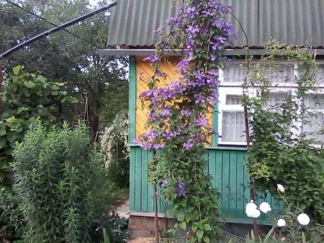 Калуга