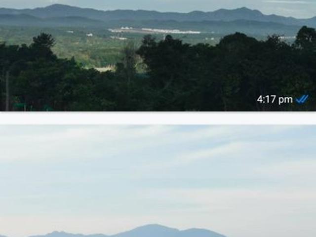 Kalumpang