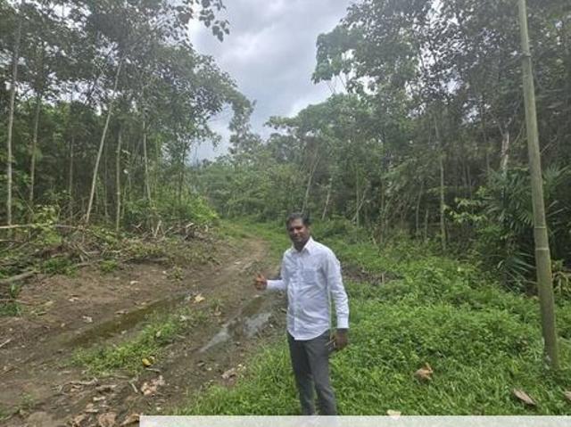 Kalumpang