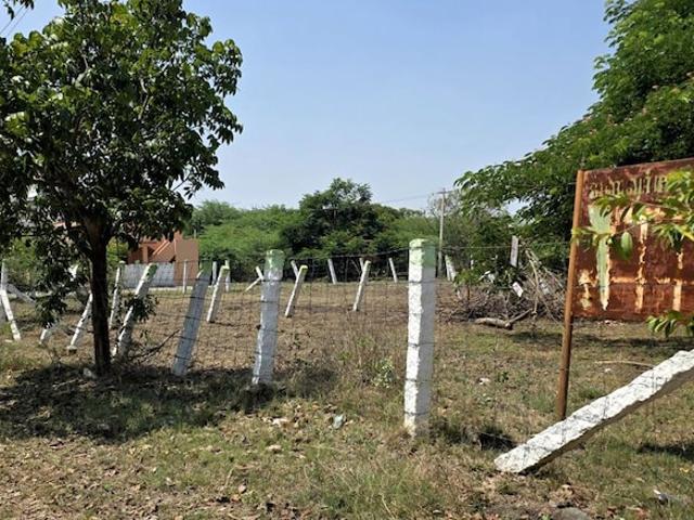 Kalapatti, Coimbatore North 14810 Sq.Ft. Plot in Kalapatti Coimbatore Listing ID: #10277