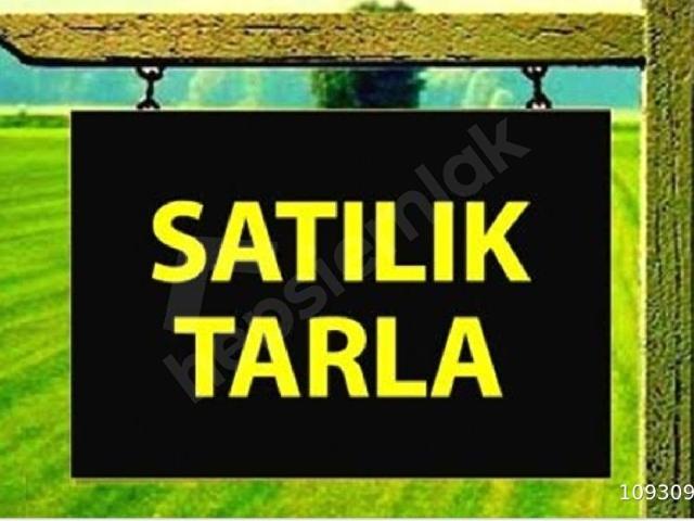 KALBURCU MAH. KÖYÜ OTOBANA YAKIN 20.000 M.YATIRIMLIK SATILIK TARLA