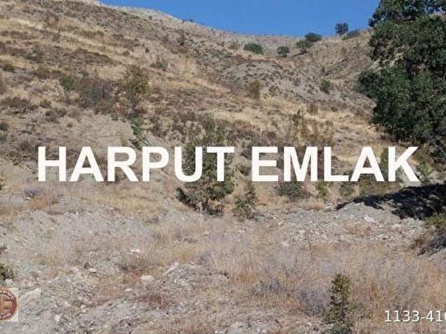 Kalecik Samanlık'ta 12.790m2 Bağ yeri