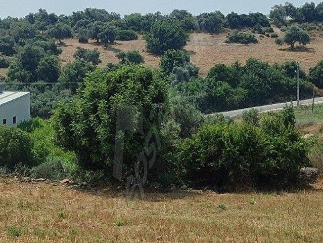 Kaleburcunda Toros koleji yanı satlık 1200 m2 arsa