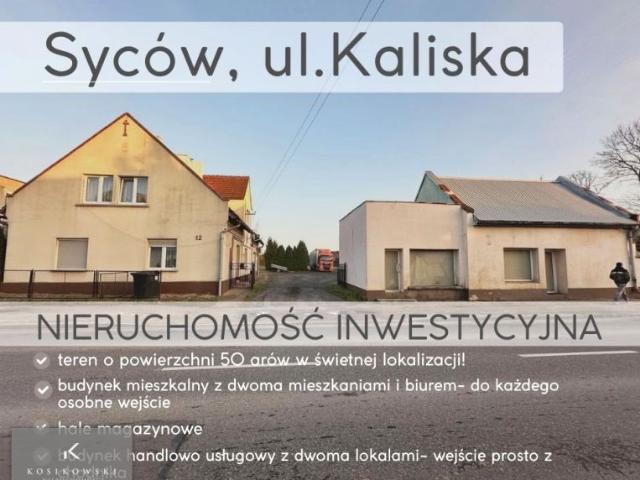 Kaliska 200 m², Syców