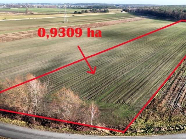 Kaliska 9 300 m², Ostrów Wielkopolski