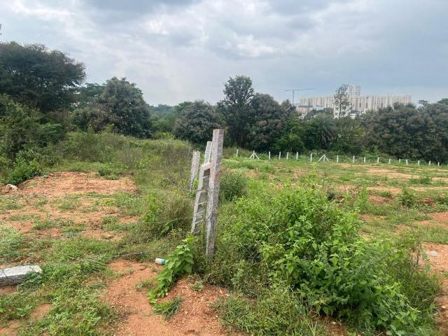 Kalkere, North Bangalore 1960 Sq.Ft. Plot in Kalkere Bangalore Listing ID: #10110