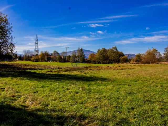Kalonka 1 848 m², Łodygowice