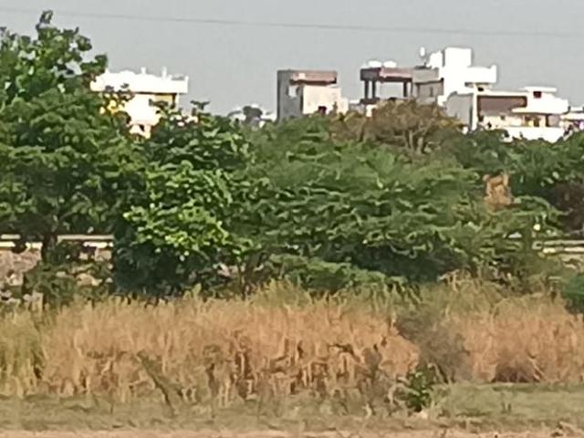 Kalpana Homes Villas Project Commercial Land 400 Sq. Yd. in Shadnagar Hyderabad Listing ID: #10320