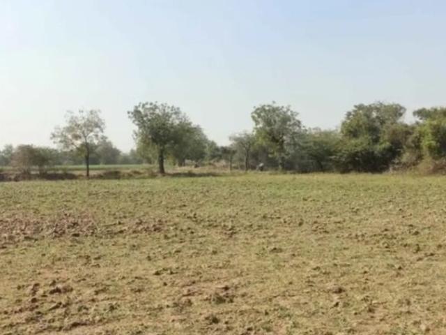 Kalrav Nest Phase I 2552 Sq. Yd. Plot in Kadi Mehsana Listing ID: #9486