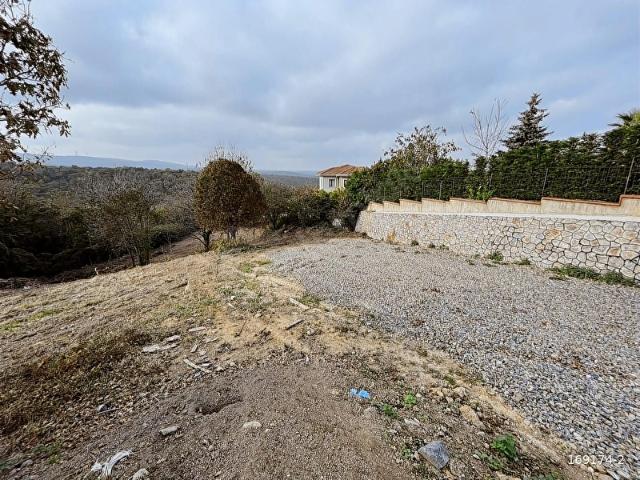 Kaptan Köşkü, Ormana sıfır, Ana yola çok yakın, Kupon Arsa.