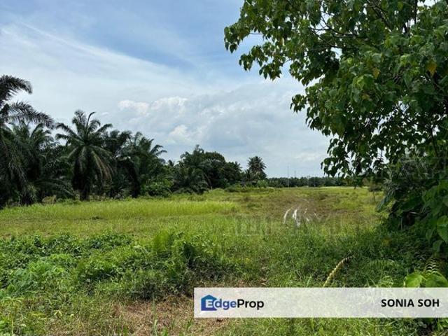 Kapar