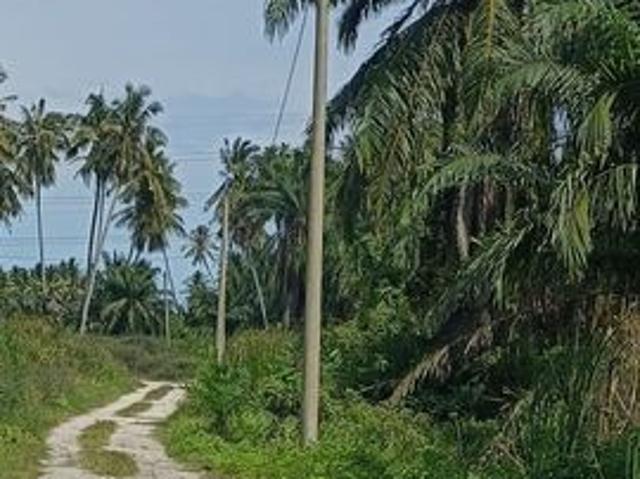 Kapar