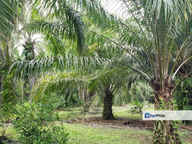 Kapar 10.5 Acres Residential Land For Sale