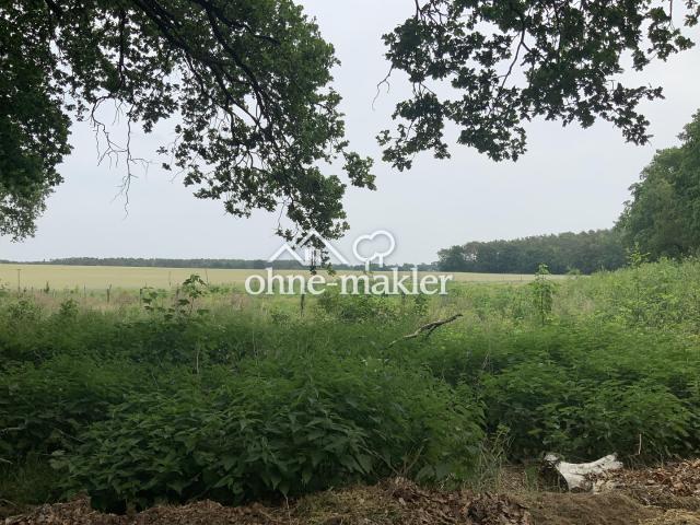 Preisreduzierung 19700 m² Kapitalanlage m² Preis 9,65 zur Entwicklung