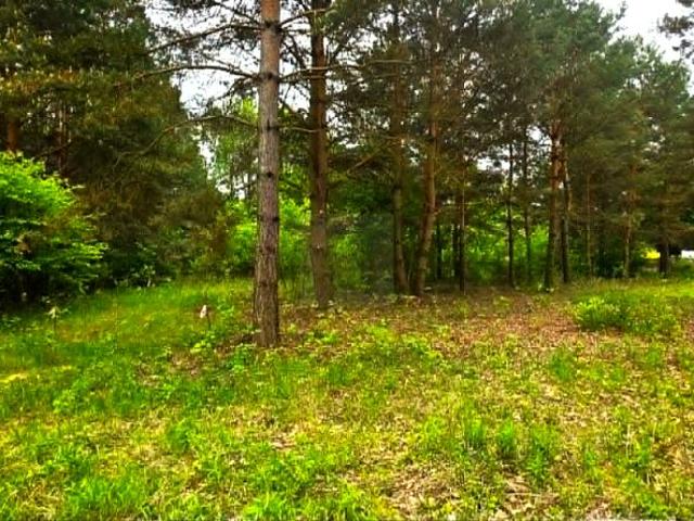 Kaprys 1 500 m², Kady