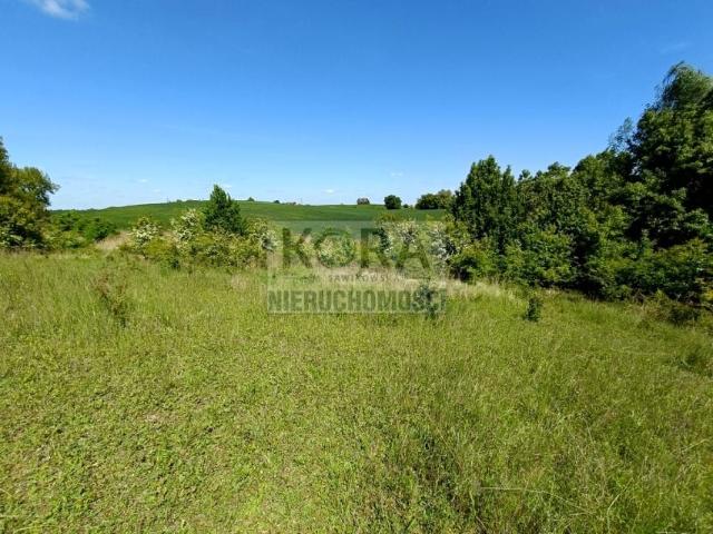 Karłowicza 2 412 m², Gniezno
