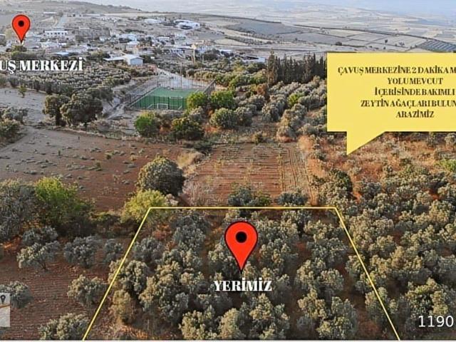 Karacabey Çavuş Mah. Kaçırılmayacak Fırsat Arazi