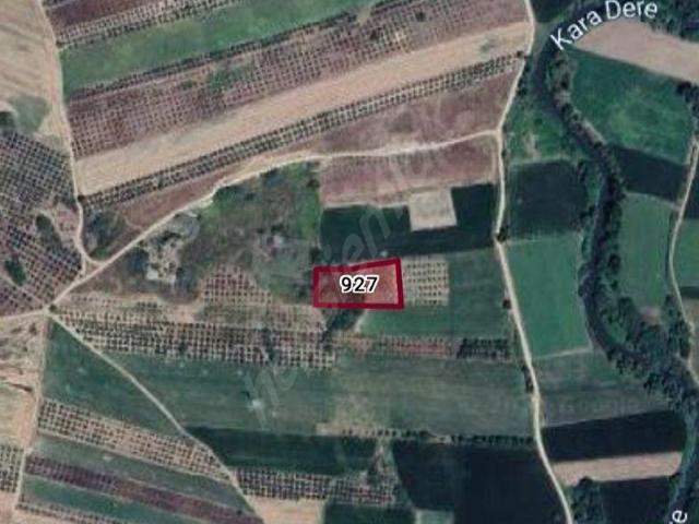 KARACABEY İSMETPAŞA'DA 3.550 m SATILIK VERİMLİ TARLA