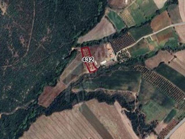 KARACABEY OKÇULARDA CEVİZLİK VE YATIRIMLIK FIRSAT ARAZİ