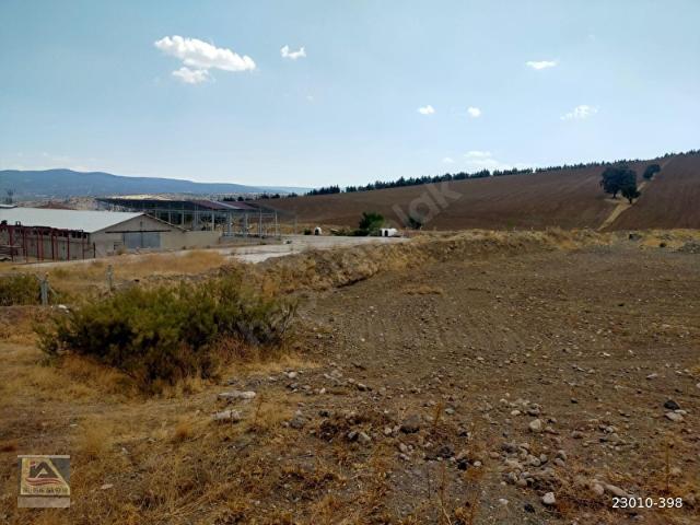 KARACAHASANDA 4062M2 TAMAMI EKİLİR BİÇİLİR ARAZİ ANAYOLA YAKIN