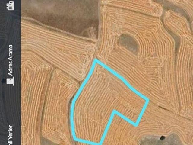 KARAALİ'DE 13.000 M2 TEK TAPU TARLA