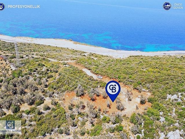 Karaburun Eğlenhoca'da Zeytin Ağaçlı 1640 m Tarla
