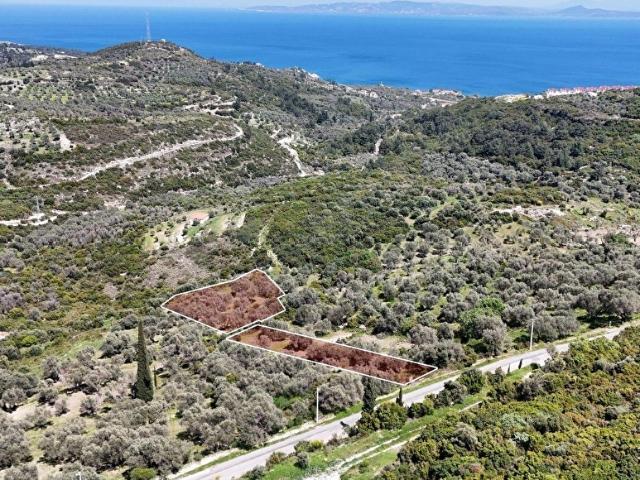 KARABURUN KÖSEDERE DENİZ MANZARALI SATILIK FIRSAT ARAZİ