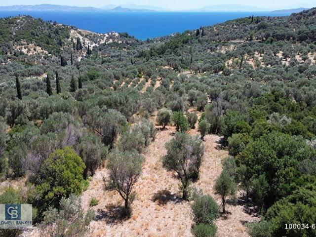 Karaburun Kösedere'de Panoramik Deniz Manzaralı Satılık Tarla