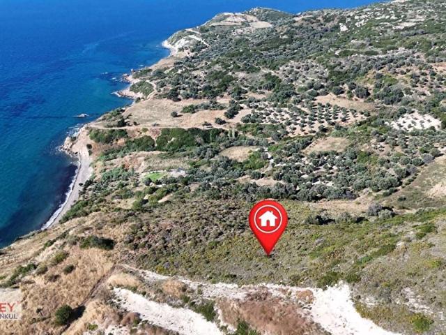 Karaburun Hasseki Köyünde Satılık 1.258 m2 Şahin Tepesi