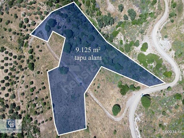 Karaburun Sarpıncık'ta 9.125 m Satılık Tarla