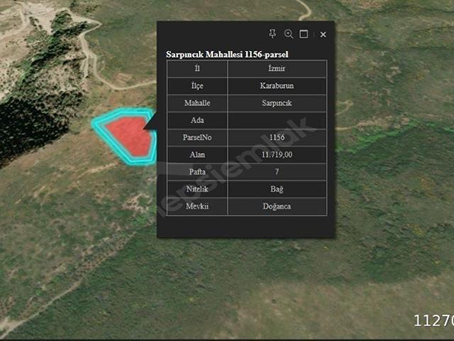 KARABURUN SARPINCIK 11719M2 SATILIK ARAZİ