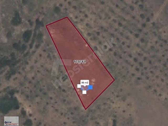 Karaburun Yaylaköy'de Deniz Manzaralı, 2190 m2 Kiralık Tarla