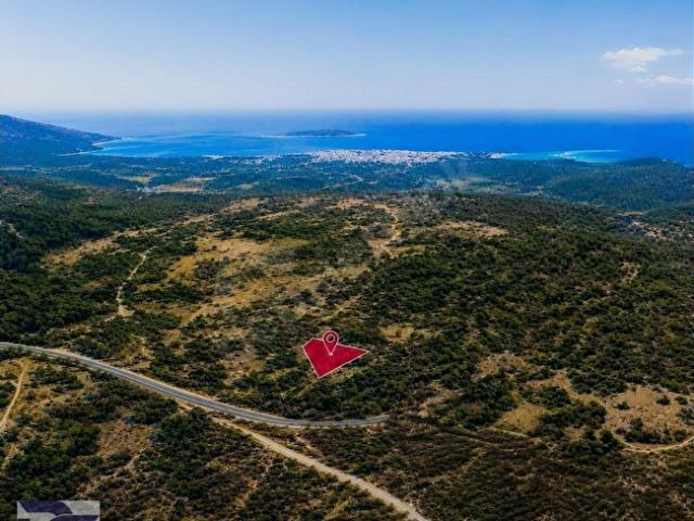 KARABURUN'DA DENİZE YAKIN, DOĞA İÇİNDE, YATIRIMLIK BAHÇE