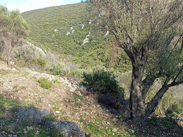 Karaburunda satılık tarla