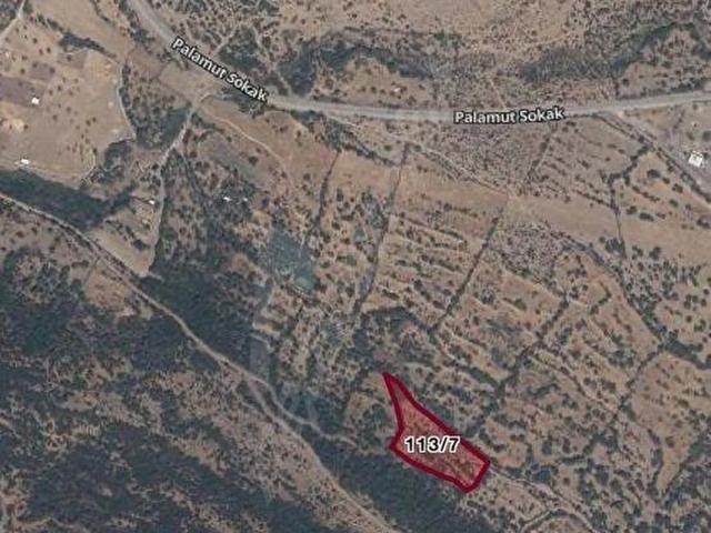 KARAKUZU'DA SATILIK 5600m2 TARLA
