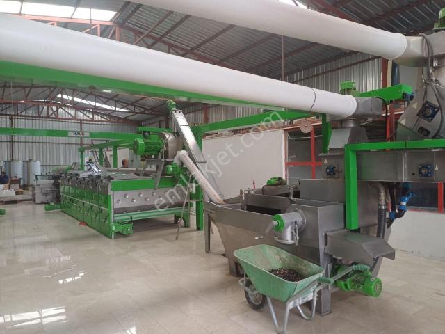 Karaisalı,beydemirli Köyünde Ana Yola Sıfır Zeytinyağı Fabrikası