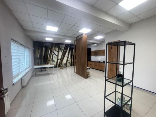 Karasia 130 m², Leszno