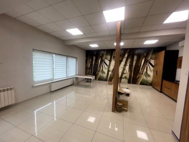 Karasia 50 m², Leszno