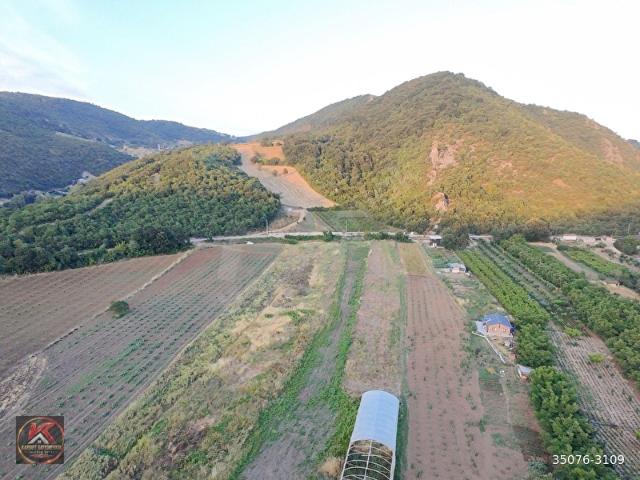 KARDEŞ'TEN AYAZMA'DA YOLA CEPHELİ 4.987 m VERİMLİ TARIM ARAZİSİ