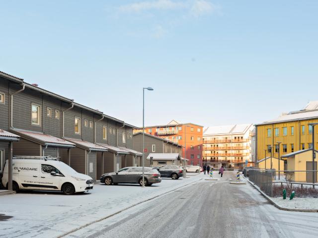 Kardemummaslingan 43
