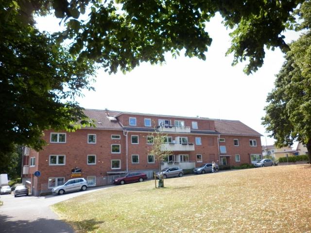 Åkaregatan, Hässleholm