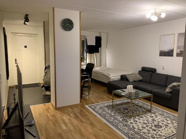 Karin Larssons Väg, Sköndal