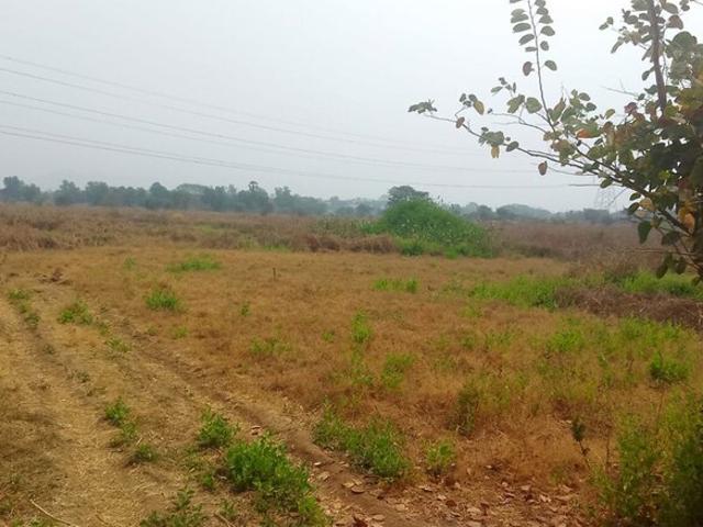 Karjat, Raigad Commercial Land 1089 Sq. Ft. in Karjat Navi Mumbai Listing ID: #10311